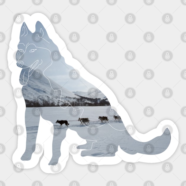 Huski dog in snow - dogsledging Sticker by Aurealis